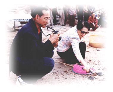 สมเด็จพระพันปีหลวง ทรงห่วงใย &lsquo;เต่าทะเล&rsquo; ยก &lsquo;เกาะมันใน&rsquo; ให้เป็นศูนย์อนุรักษ์